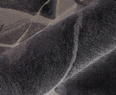 Anya 8885F 5'x8' Area Rug