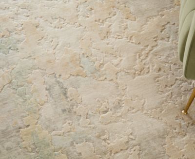 Jaxson 39SAF 2'x3' Area Rug