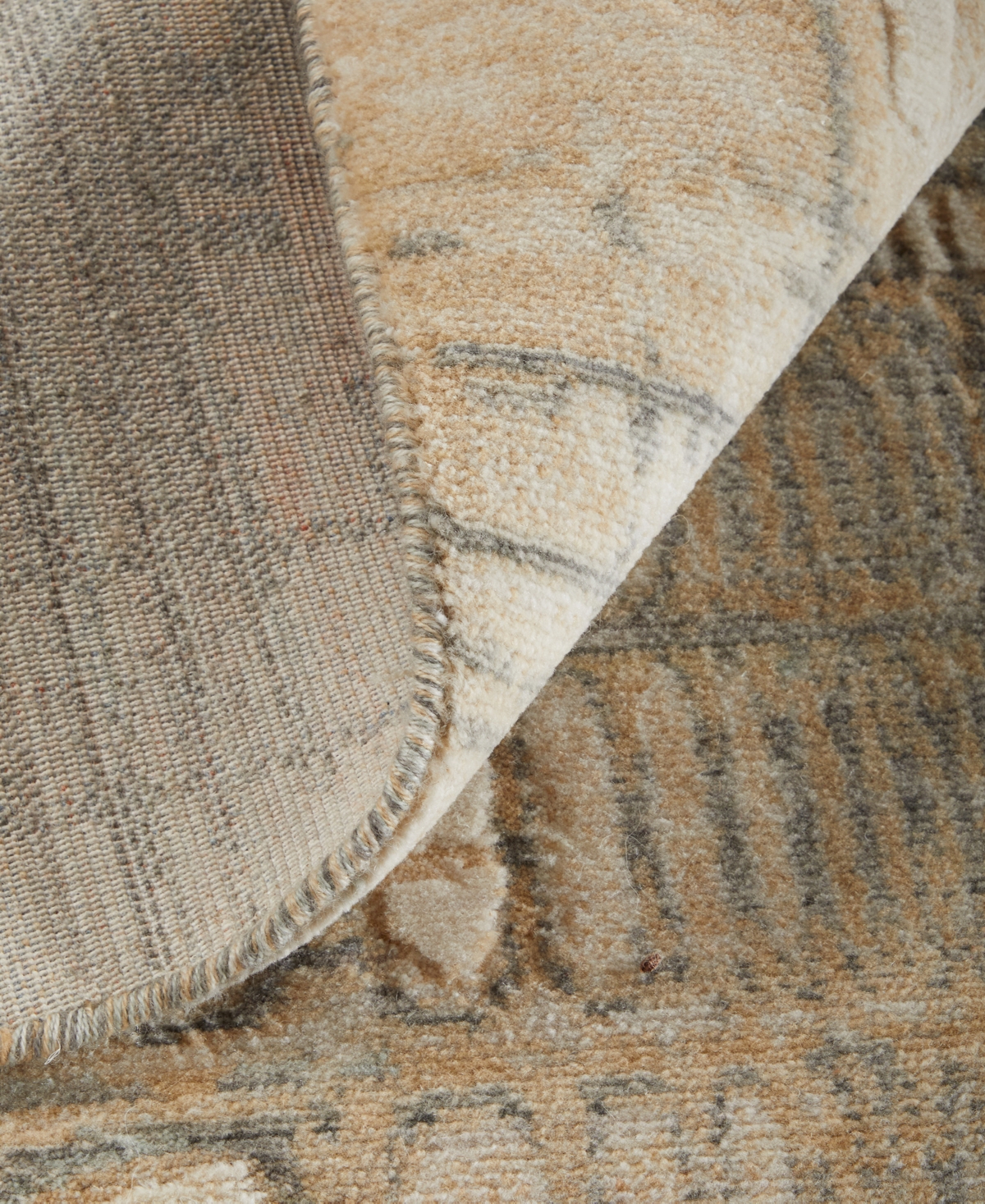 Feizy Jaxson 39pzf 2'x3' Area Rug In Multi