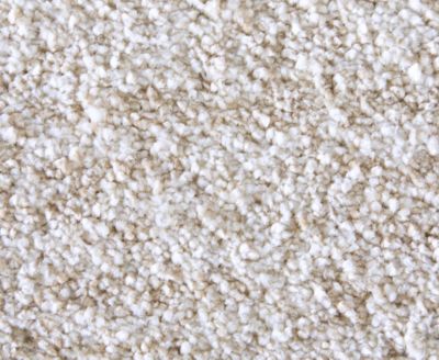 Jameson 39R8F 7'10"x10' Area Rug