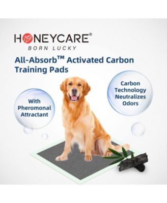 Carbon All-Absorb Puppy Training Pads Dog Potty Pads Absorb Eliminating Urine Odor, Jumbo-Size Charcoal Puppy Pad XL 28x34 inch, 80ct