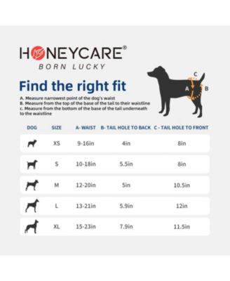 All-Absorb Disposable Female Dog Diapers, Super Absorbent, Breathable, Wetness Indicator, Large, 18-27 inches, 72ct