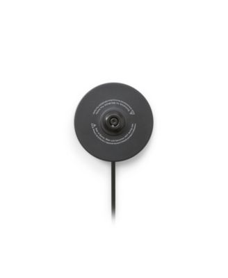 Electric Gooseneck Kettle