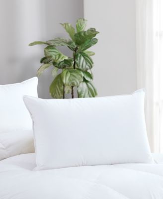 Avocado - 100% Cotton Cover Down Pillow, King