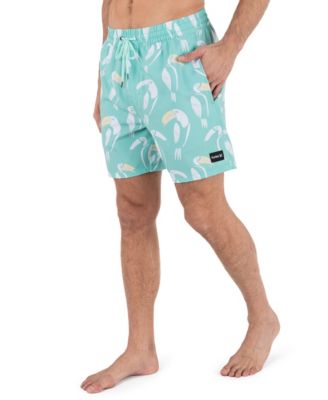 Men's Cannonball Volley Boardshorts