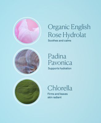 Pro-Collagen Rose Marine Cream