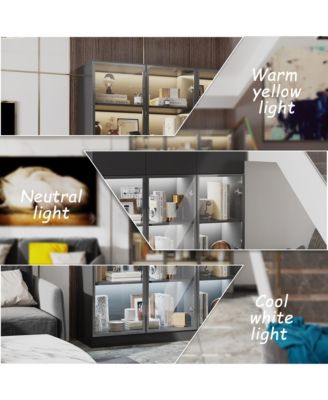 Bookshelf/Pantry with Glass Door and LED Lights for Living Room/Kitchen