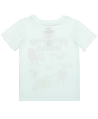 Toddler Boys 2-Piece Crewneck T-Shirt and Shorts Set