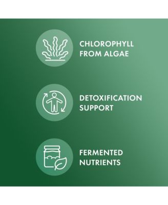 Fermented Chlorella with Chlorophyll, 90 Servings, Supports Immune and Organ Health