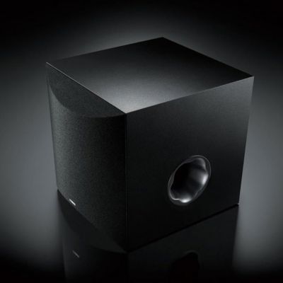 NS-SW100 Subwoofer (Black)