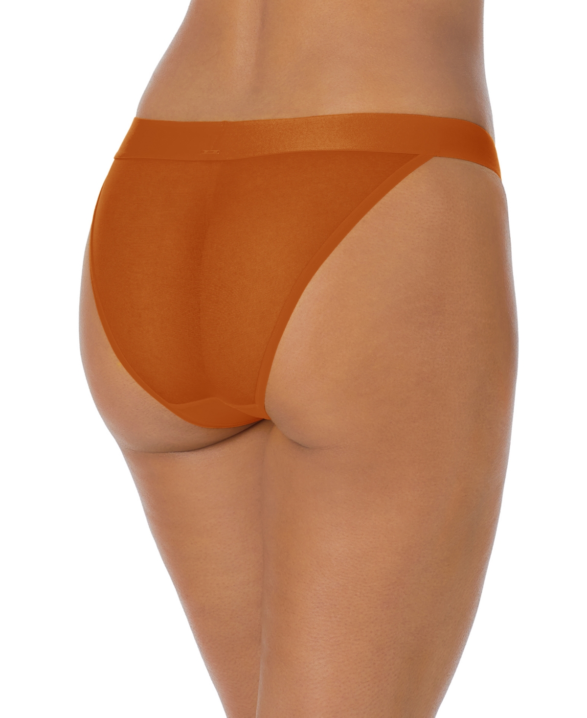 Dkny Women's Sheer Bikini Underwear Dk8945 In Brown