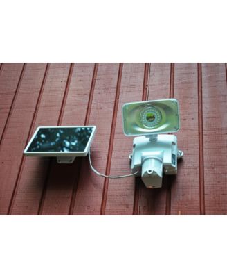 Solar-Powered Video Camera Floodlight - White