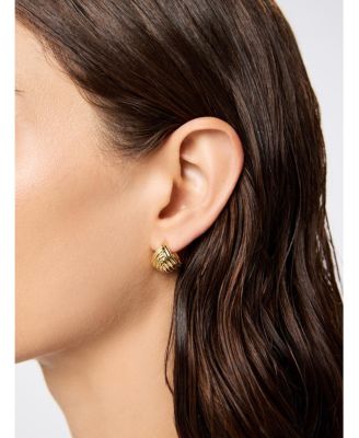 Huggie Earrings - Haven