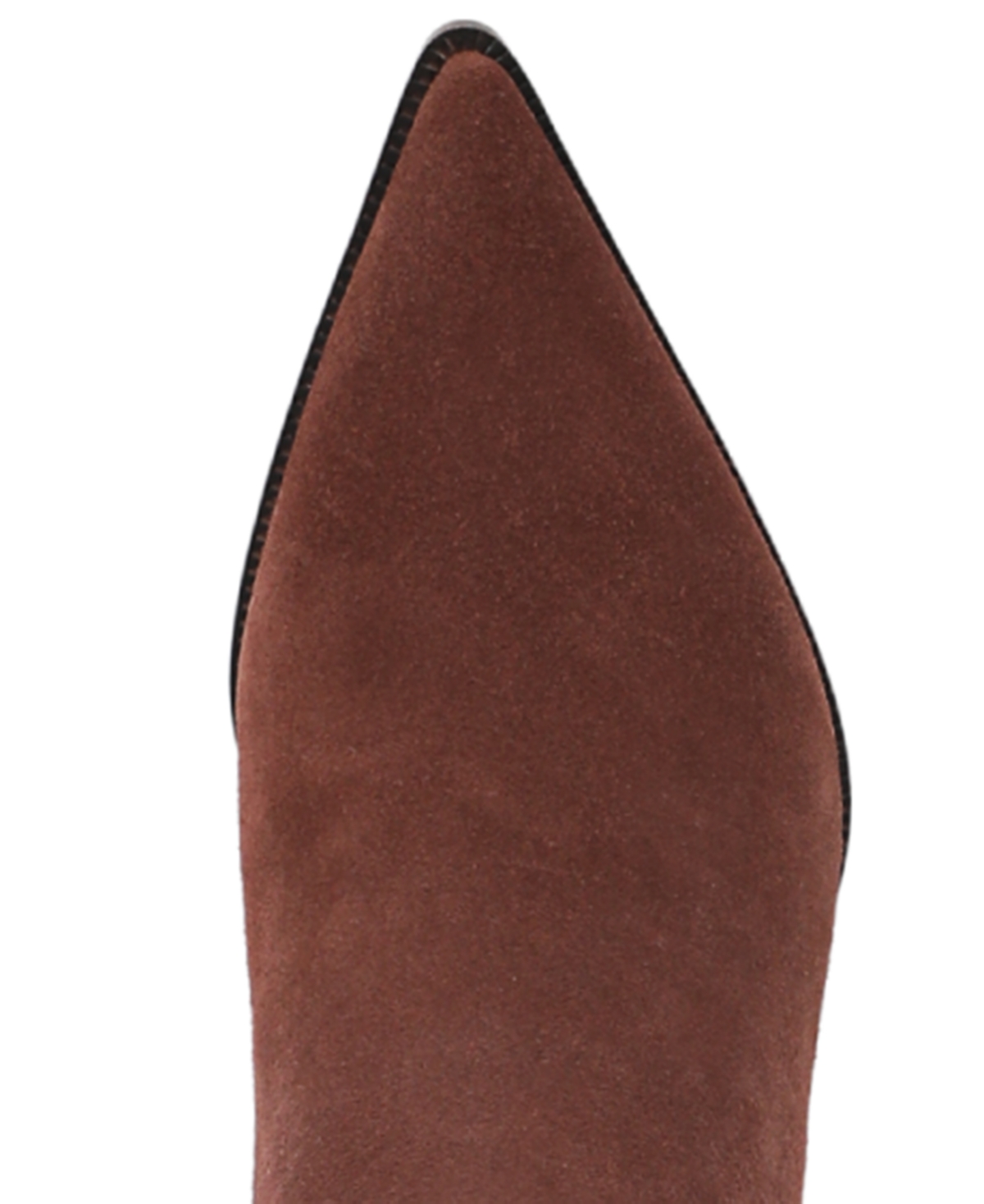 Circus Ny By Sam Edelman Yulia Pointed Toe Knee High Boot In Brown