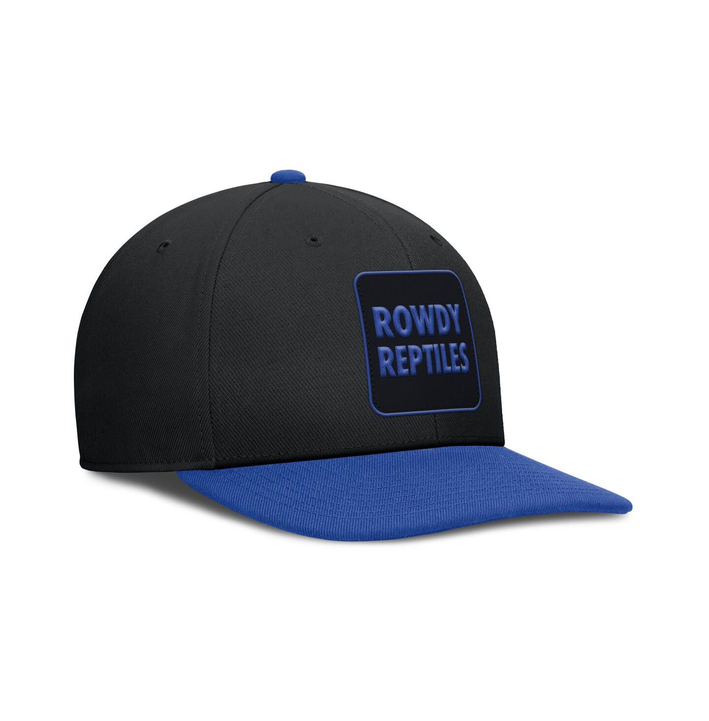 Мужская кепка Jordan Black/Royal Florida Gators 2025 Sideline Campus Pro Local Snapback Hat — фото 3
