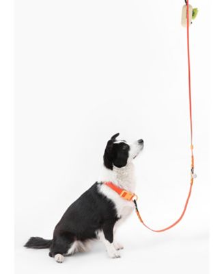 Luna 8FT Adjustable 6-in-1 Waterproof Hands-Free Leash and Collar with LED Flashlight, Bag Dispenser, and Poop Bag Holder