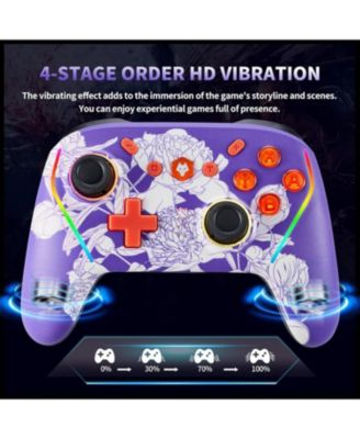 Wireless Switch 2 Controller for Nintendo Switch/Lite/OLED, Mouse Touch Back Buttons, Extra Pro Controller with Wake, Programmable, Turbo Function