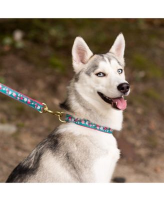 Up Country Cherry Blossoms Dog Collar