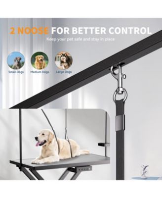 Professional Electric Dog Grooming Table (50" Black)