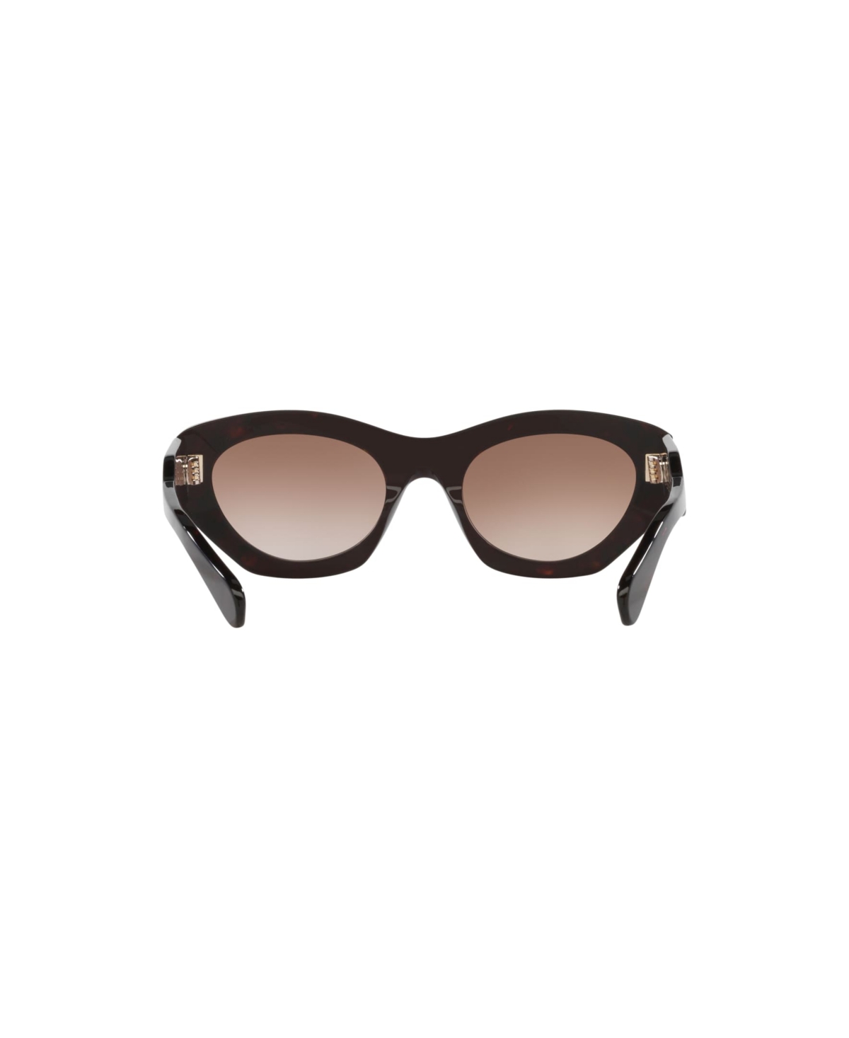 Chloé Women's Cat Eye Sunglasses, Ch0220s 6n000523