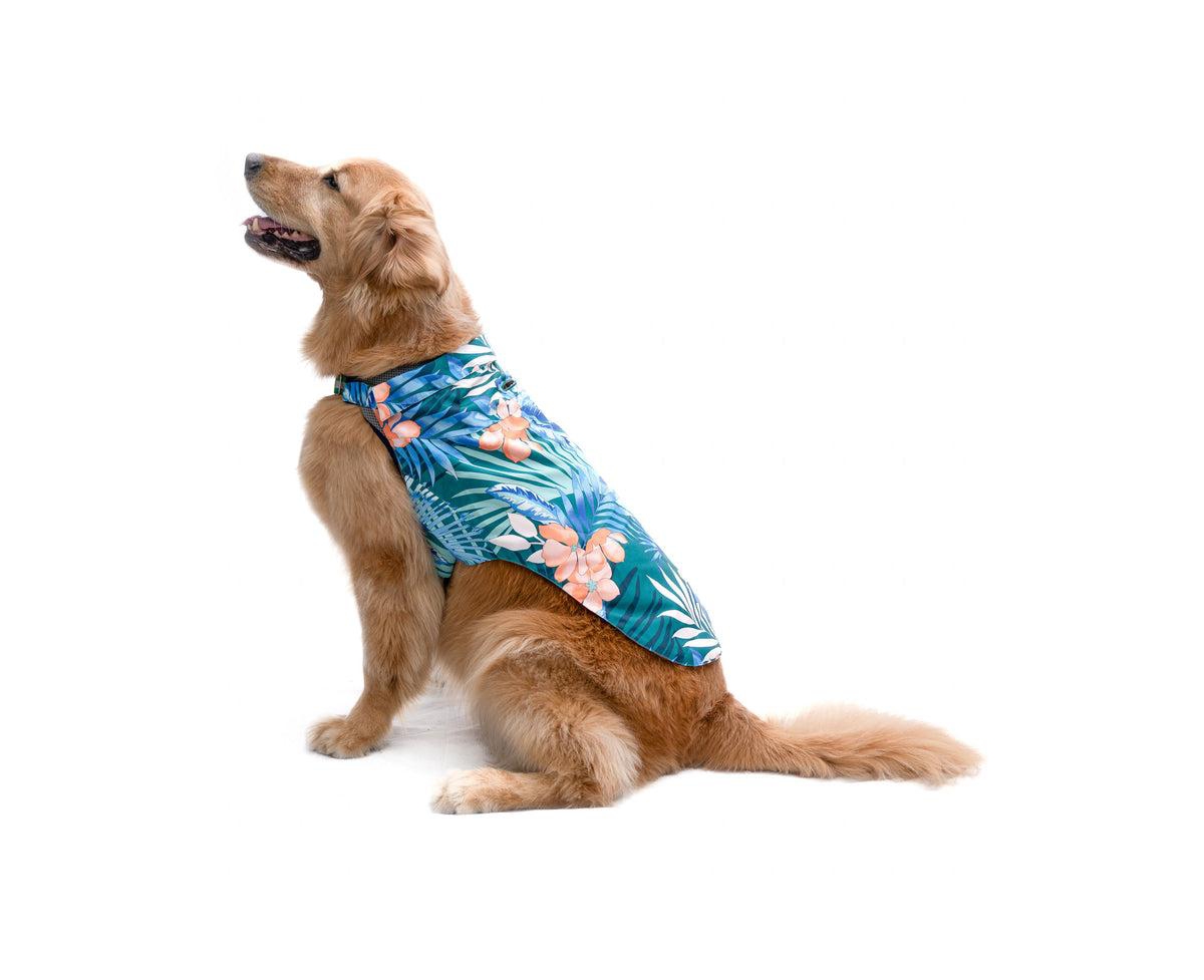 Tommy Bahama Pet Hawaiian Shirt & Apparel Harness