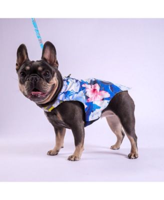 Pet Hawaiian Shirt & Apparel Harness - Blue, S