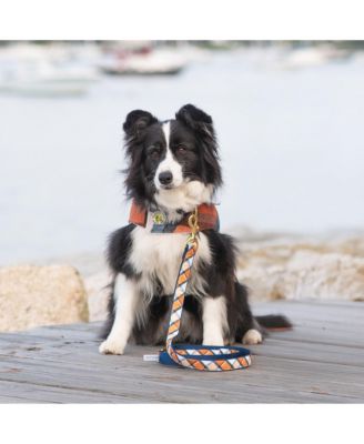 Up Country Terra Cotta Plaid Dog Lead