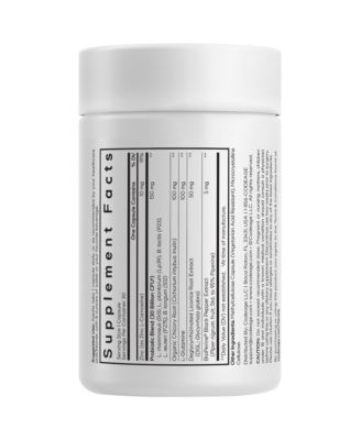 Daily Synbiotic Supplement - Prebiotics, Lactobacillus & Bifidobacterium Probiotics, L-Glutamine, Zinc 30 Capsules