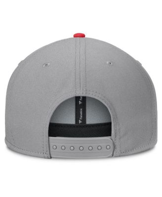 Men's Gray Louisville Cardinals Duo Snapback Hat