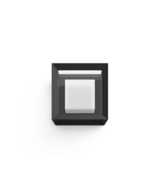 Hue White and Color Ambiance Econic Outdoor Wall and Ceiling Light