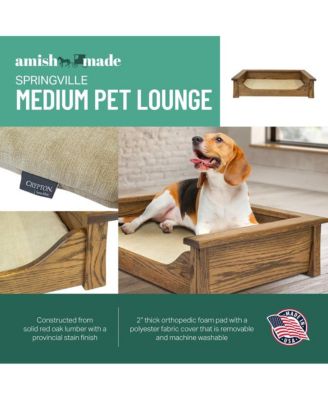 Springville Medium Pet Lounge