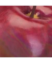 Plastic Storage Bin with Handles - Clear - Made in USA