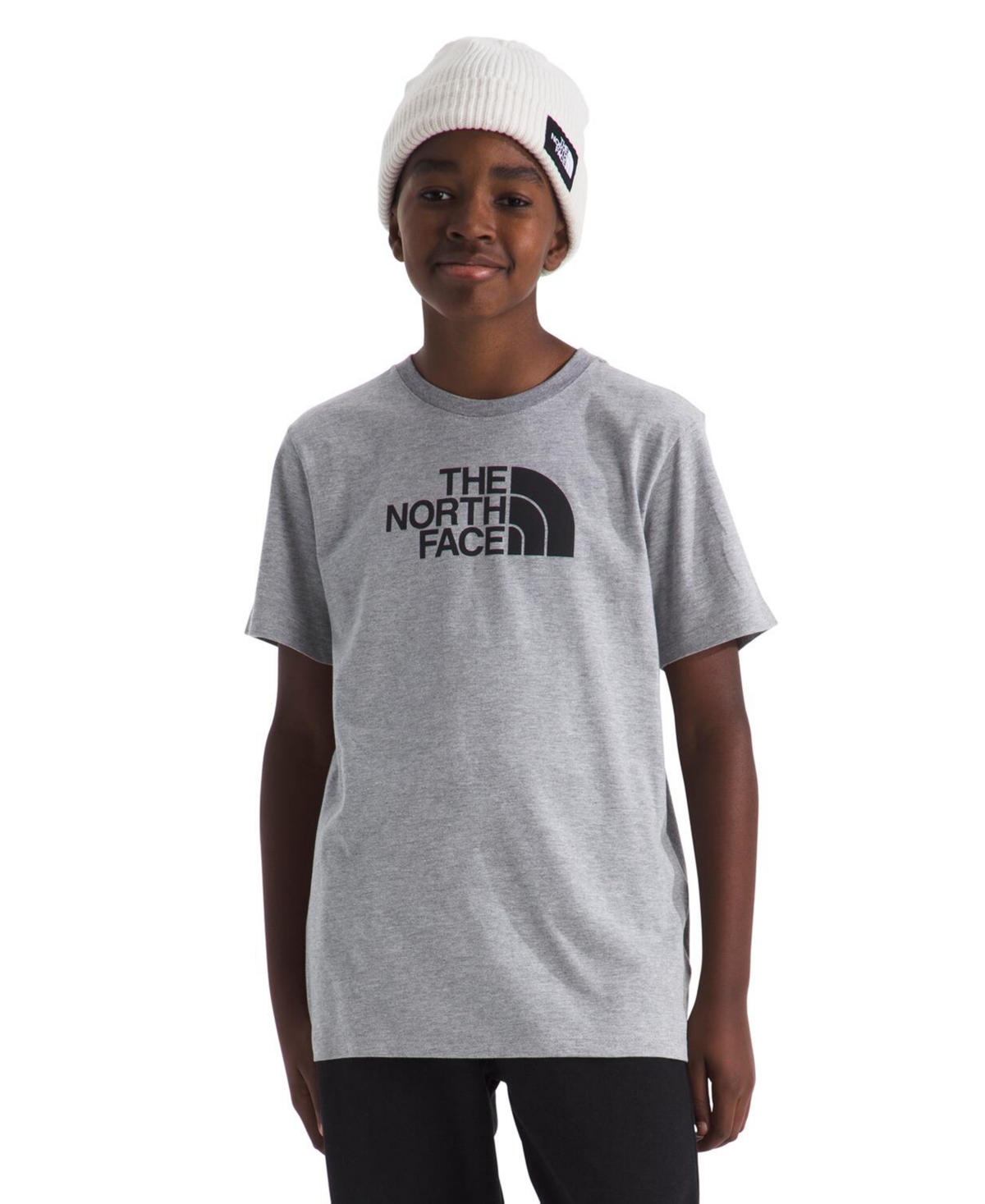 The North Face Big Boys Evolution Half Dome Short Sleeve T-shirt In Gray
