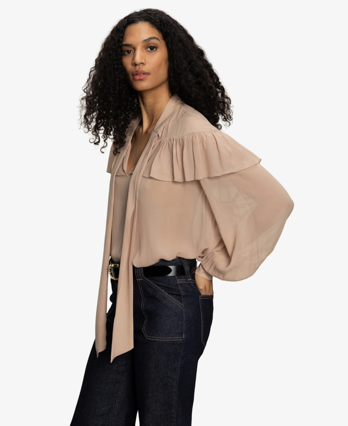 Sanctuary Fade Into You Ruffle Georgette Top In Brown