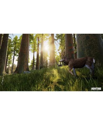 Hunting Simulator - PlayStation 4