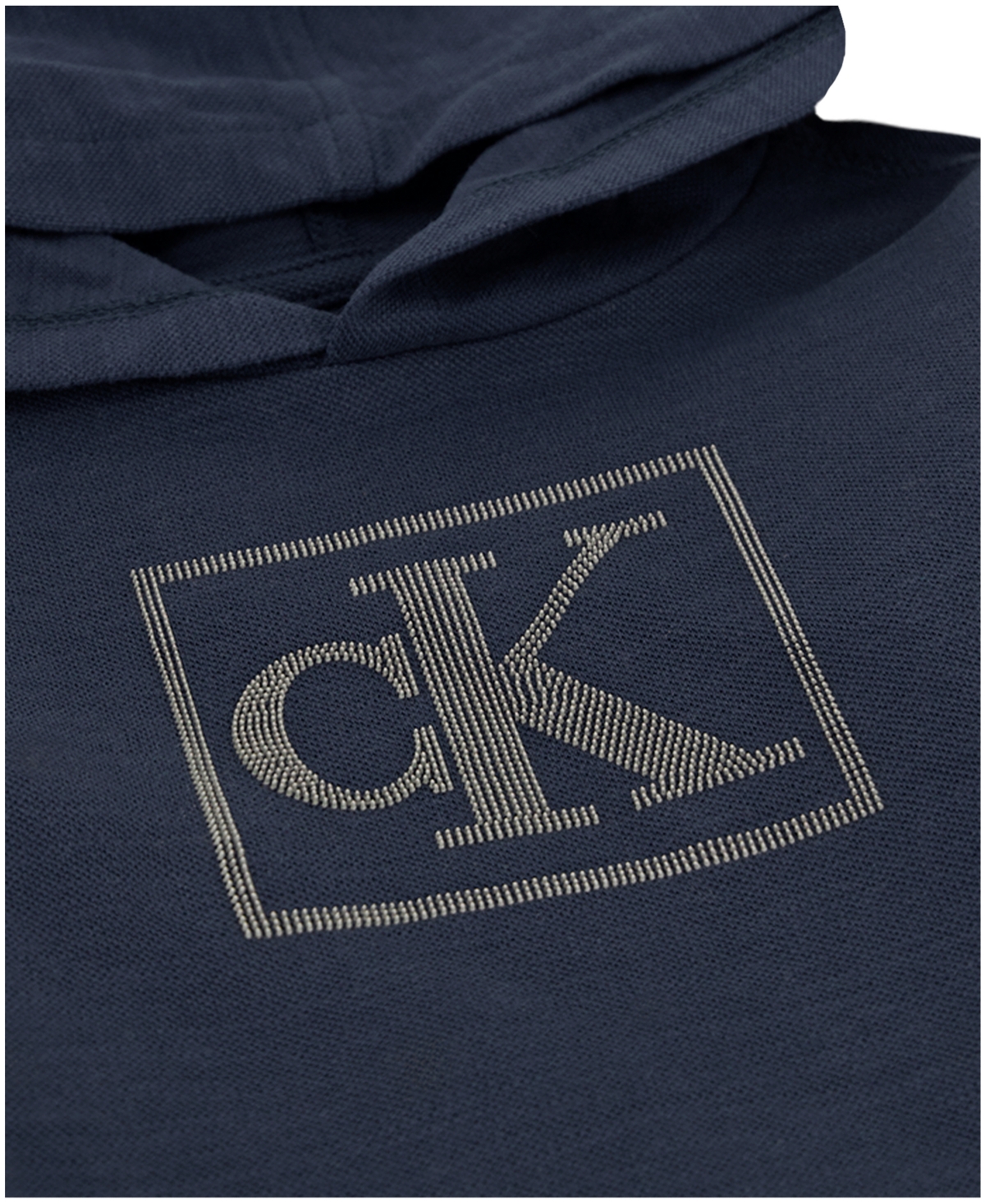 Calvin Klein Toddler And Little Boys 2-piece Long Sleeve Hoodie And Tech Twill Joggers Set In Blue