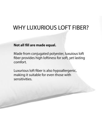 2-Pack Pillow, Standard 