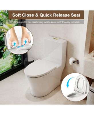 Dual Flush 1.1/1.6 GPF Elongated One-Piece One-Piece Bathroom Fixture, Comfort Height, Water-Saving Design, MAP 1000g