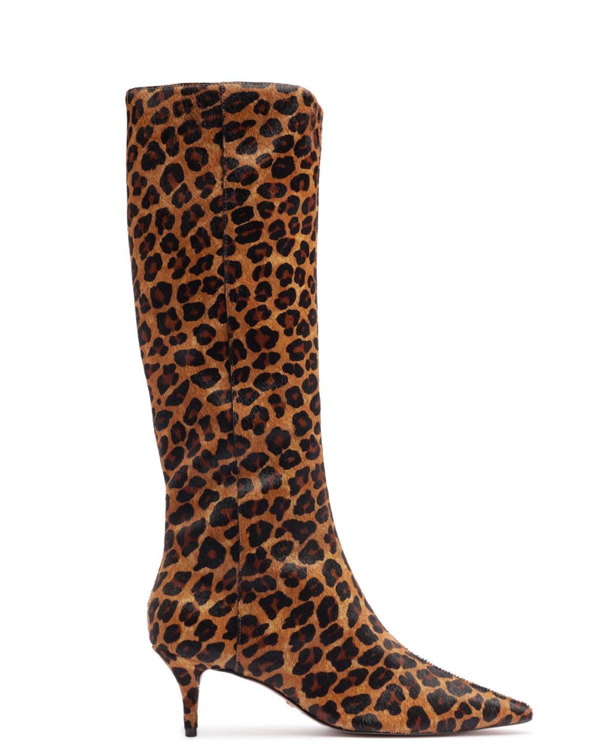 Arezzo Sasha Pointed Toe Knee High Boot In Multi