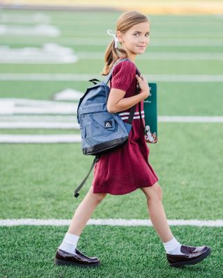 Toddler Girls' Organic Short Sleeve Cricket Sweater Dress