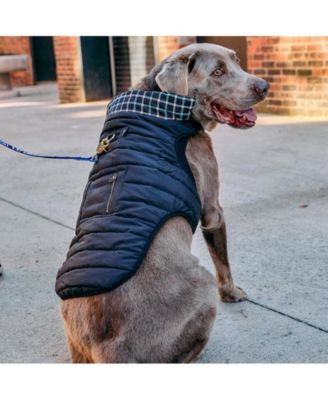 Starter Kit with Puffer Jacket