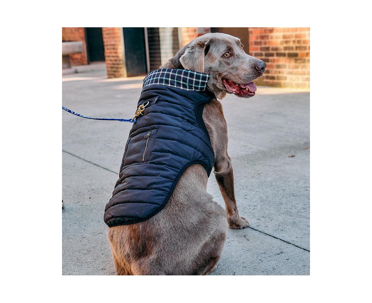 K9 Wear Starter Kit with Puffer Jacket
