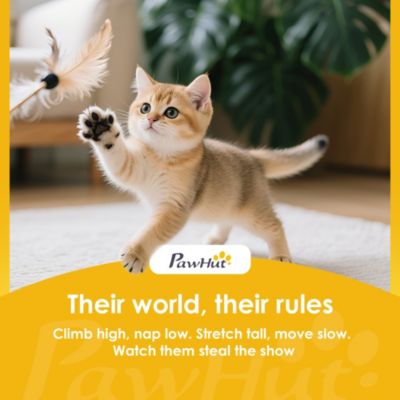 53" Indoor Cat Tree Activity Center Climbing Condo Scratching Post