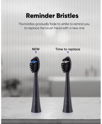 DY156 Electric Toothbrush Replacement Heads, 3 Packs (Purple)