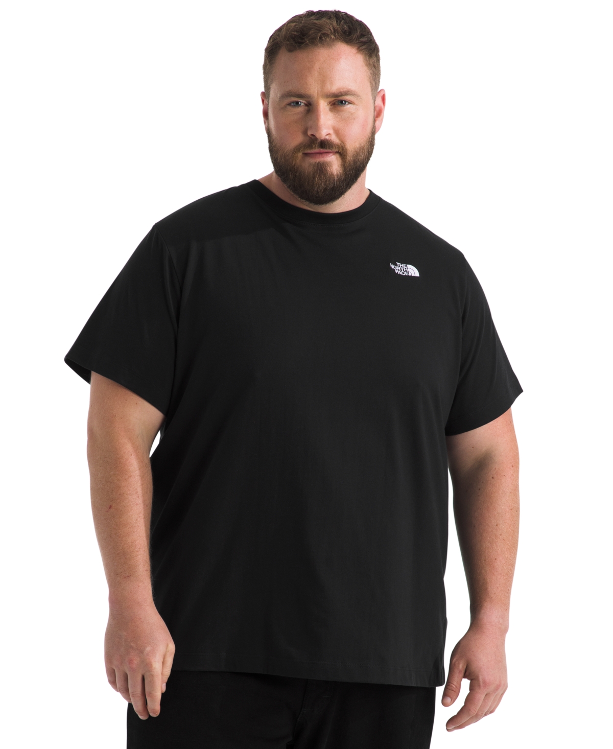 The North Face Men's Big Evolution Simple Dome Short Sleeve T-shirt In Black