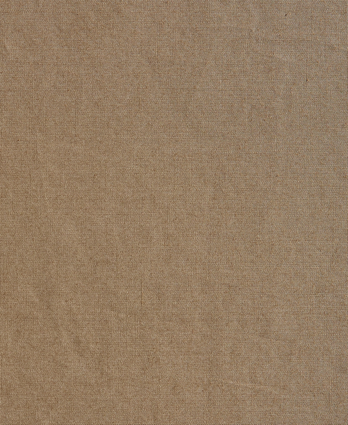 Nautica Solid Cotton Percale 3-piece Sheet Set, Twin Xl In Brown