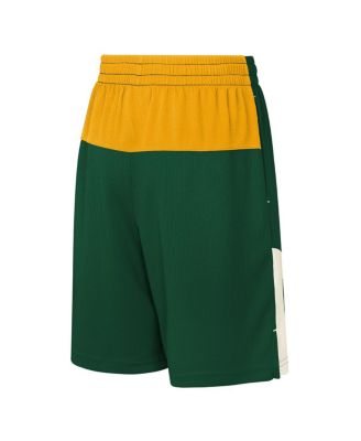 Big Boys and Girls Green Bay Packers Fandemonium Mesh Shorts