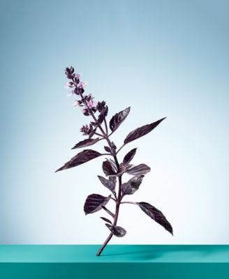 3-Pc. Tiffany & Love For Her Holiday Gift Set