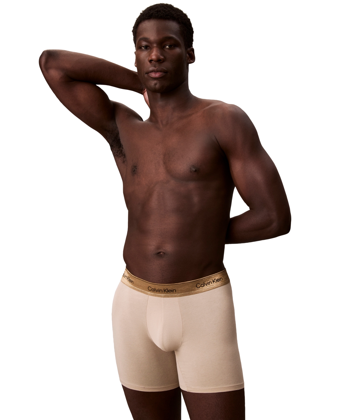 Calvin Klein Men's Icon Cotton Stretch Limited Edition Boxer Briefs