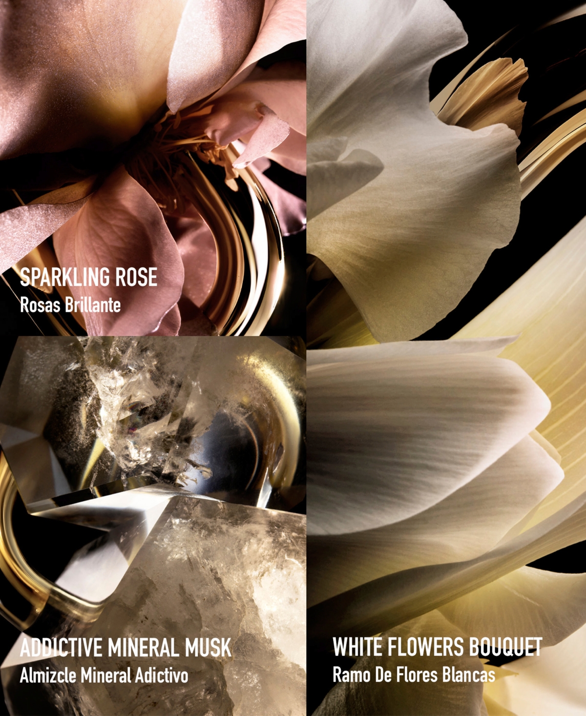 Rabanne 3-pc. Million Gold For Her Fragrance Gift Set With Body Lotion In Transparent